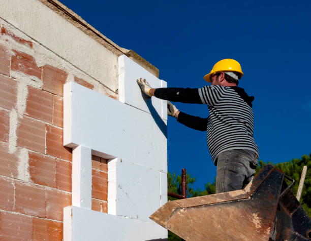 Best Insulation Maintenance and Repair in Old Miakka, FL
