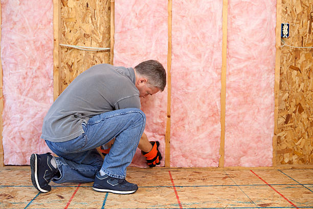 Best Commercial Insulation in Old Miakka, FL